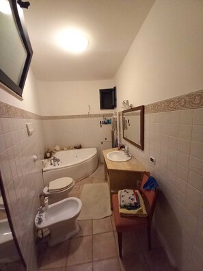 Ein Badezimmer mit Badewanne, Toilette, Bidet, Waschbecken, Spiegel und einem an der Wand montierten Fernseher.
