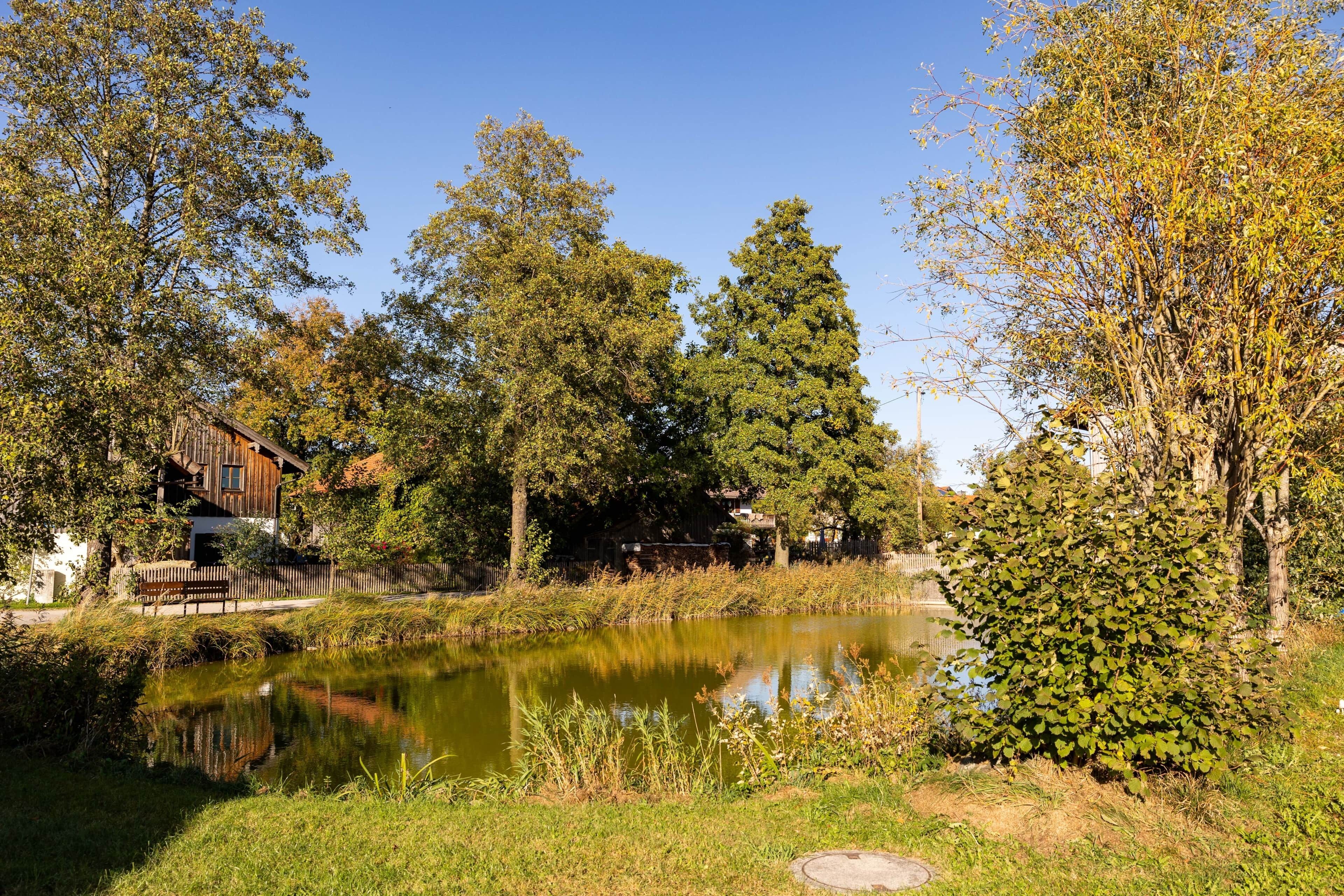 Ein Teich mit umliegenden Bäumen und einem Holzgebäude.