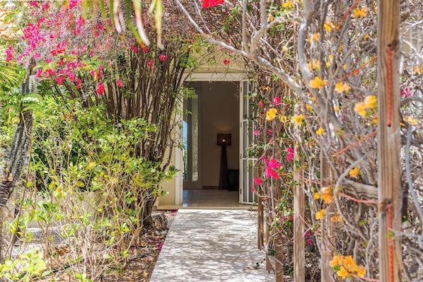 A pathway leading to a building entrance surrounded by dense vegetation and flowering plants. - Vrbo Property (Kralendijk)