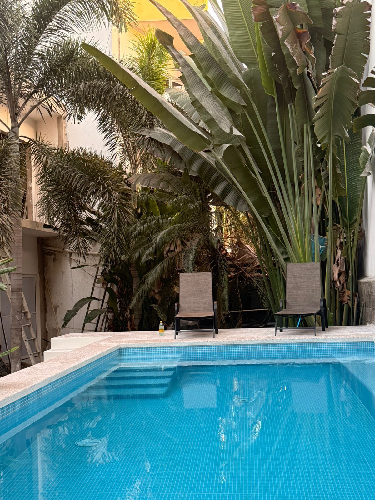 Piscina com bordas em azulejo, rodeada por plantas tropicais e duas cadeiras.