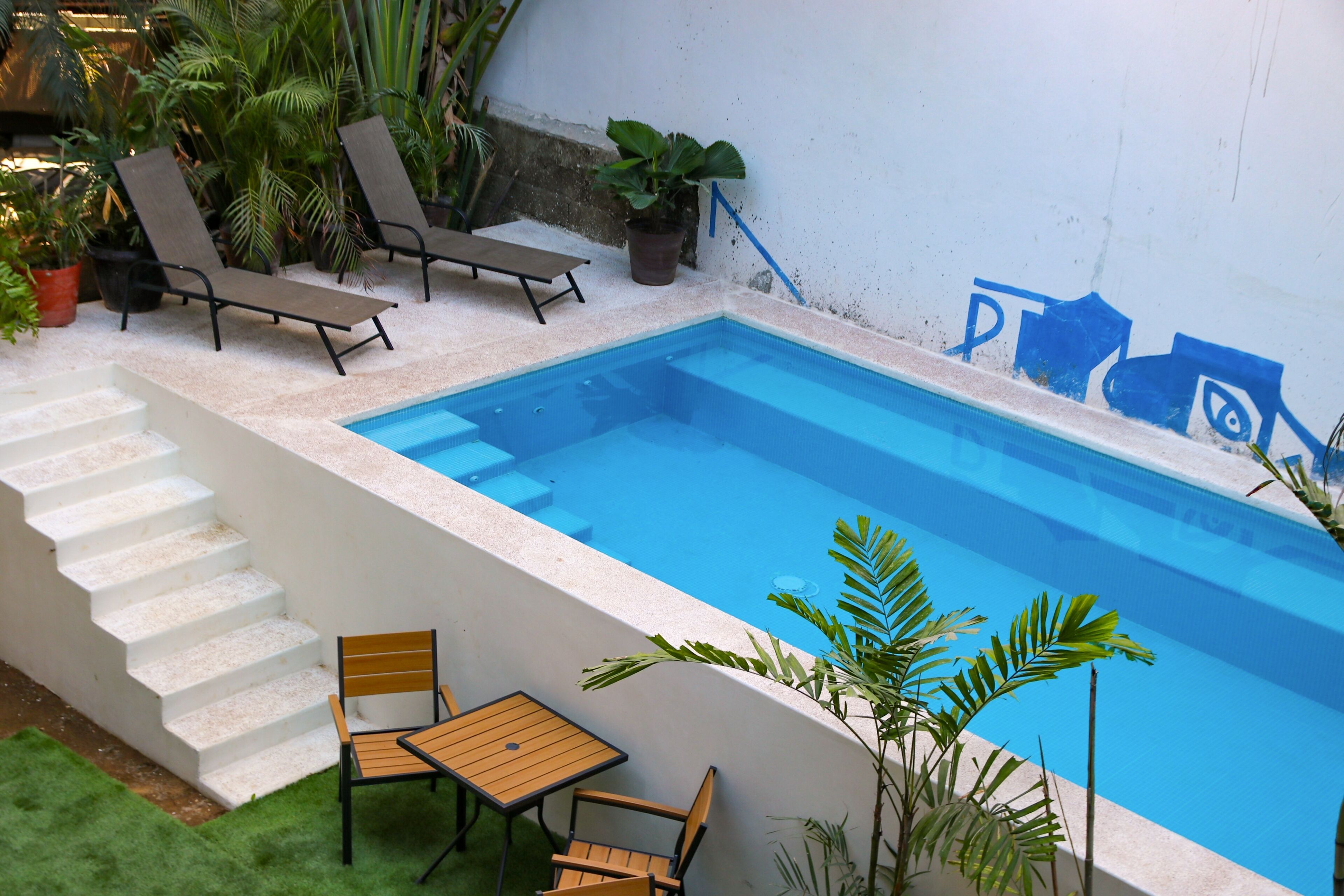 Basic Suite, 1 Queen Bed, Pets Allowed, Poolside | Pool