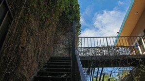Una escalera con barandilla de metal, rodeada de follaje denso.