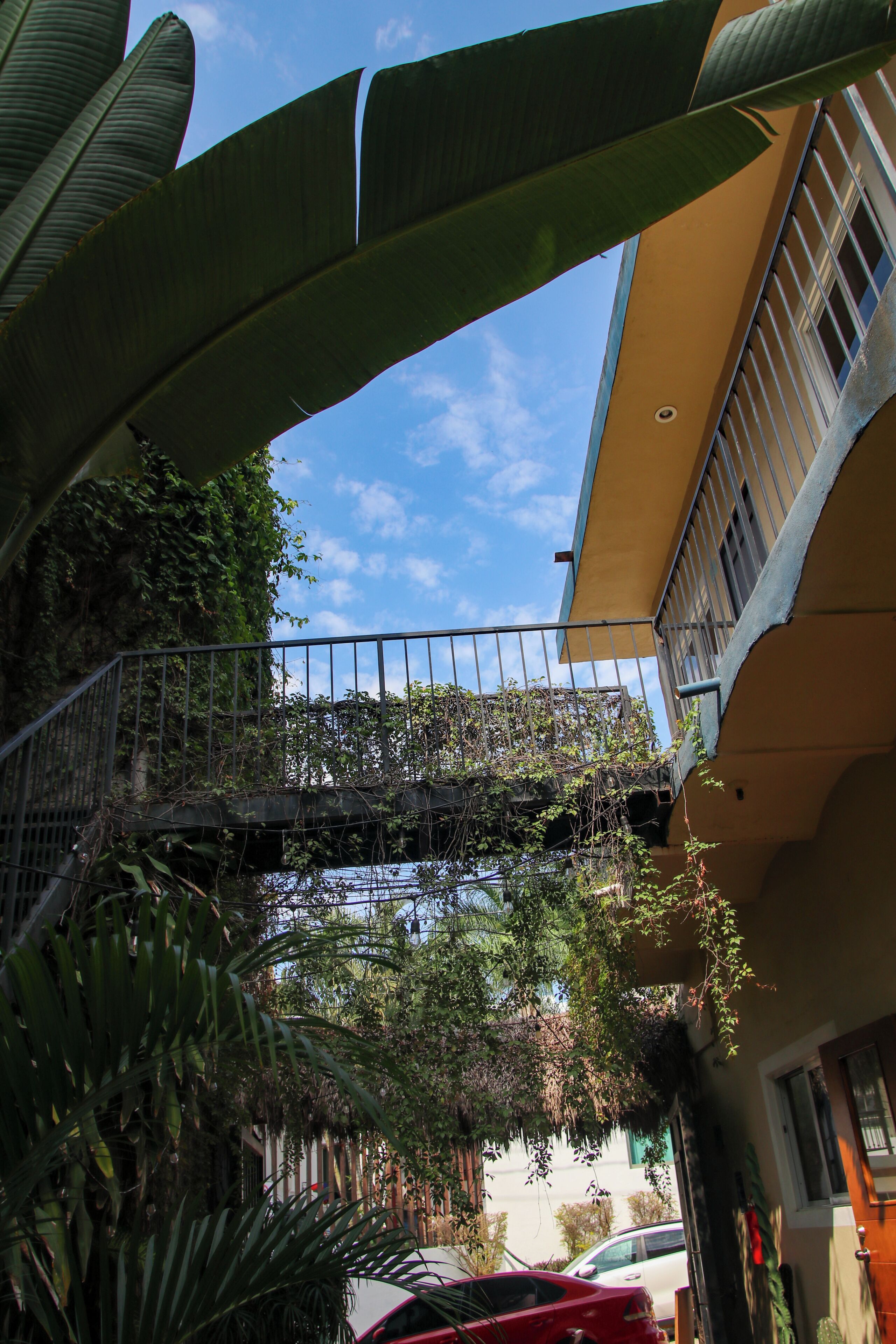 Standard Quadruple Room, 2 Double Beds, Pets Allowed, Pool View | View from room