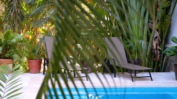 Un área junto a la piscina con dos sillas de descanso, una piscina con azulejos y diversas plantas en macetas.
