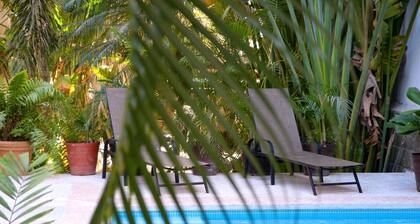 Patio Canarias Suites Pet-Friendly