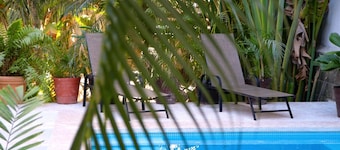 Patio Canarias Suites Pet-Friendly