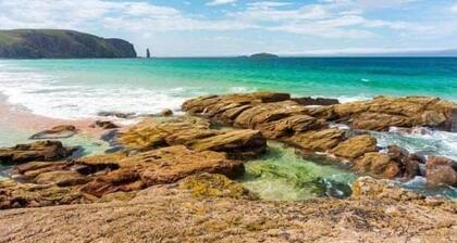 Kelp Drift, Costal Pod, near Oldshoremore Beach