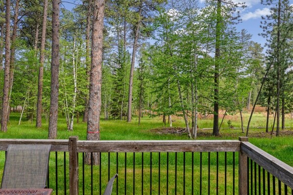 A wooden deck with a metal railing overlooking a forested area.