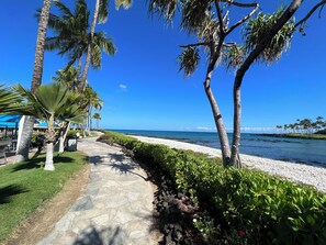 Un sentier qui mène à une plage bordée de palmiers, sous un ciel bleu et dégagé.