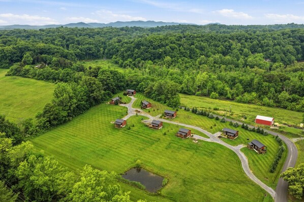 A rural landscape with a cluster of wooden cabins and a red barn, surrounded by lush green fields and dense forest.