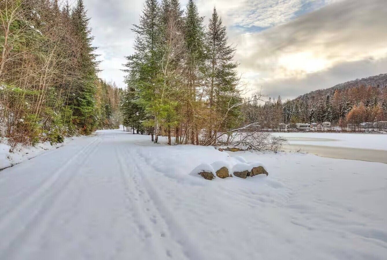 A snow-covered road flanked by trees, leading to a body of water.