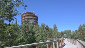 En träpromenad som leder fram till en byggnad i flera våningar, omgiven av träd.