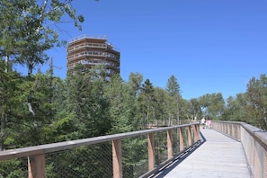 A wooden boardwalk leading to a multi-level building surrounded by trees.