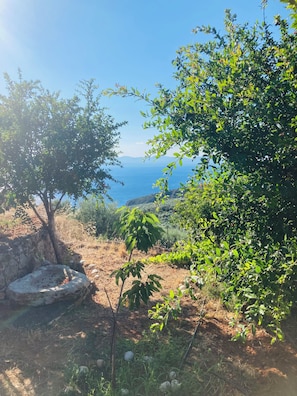 Terrain de l’hébergement 