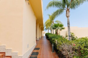 A corridor with a tiled floor, beige walls, and a row of palm trees. - Bright 1-Bedroom Apartment with Private Terrace and Views | Pool (Playa de las Américas)