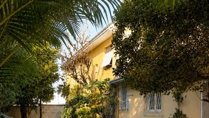 A swimming pool surrounded by a garden with palm trees and a tiled patio.