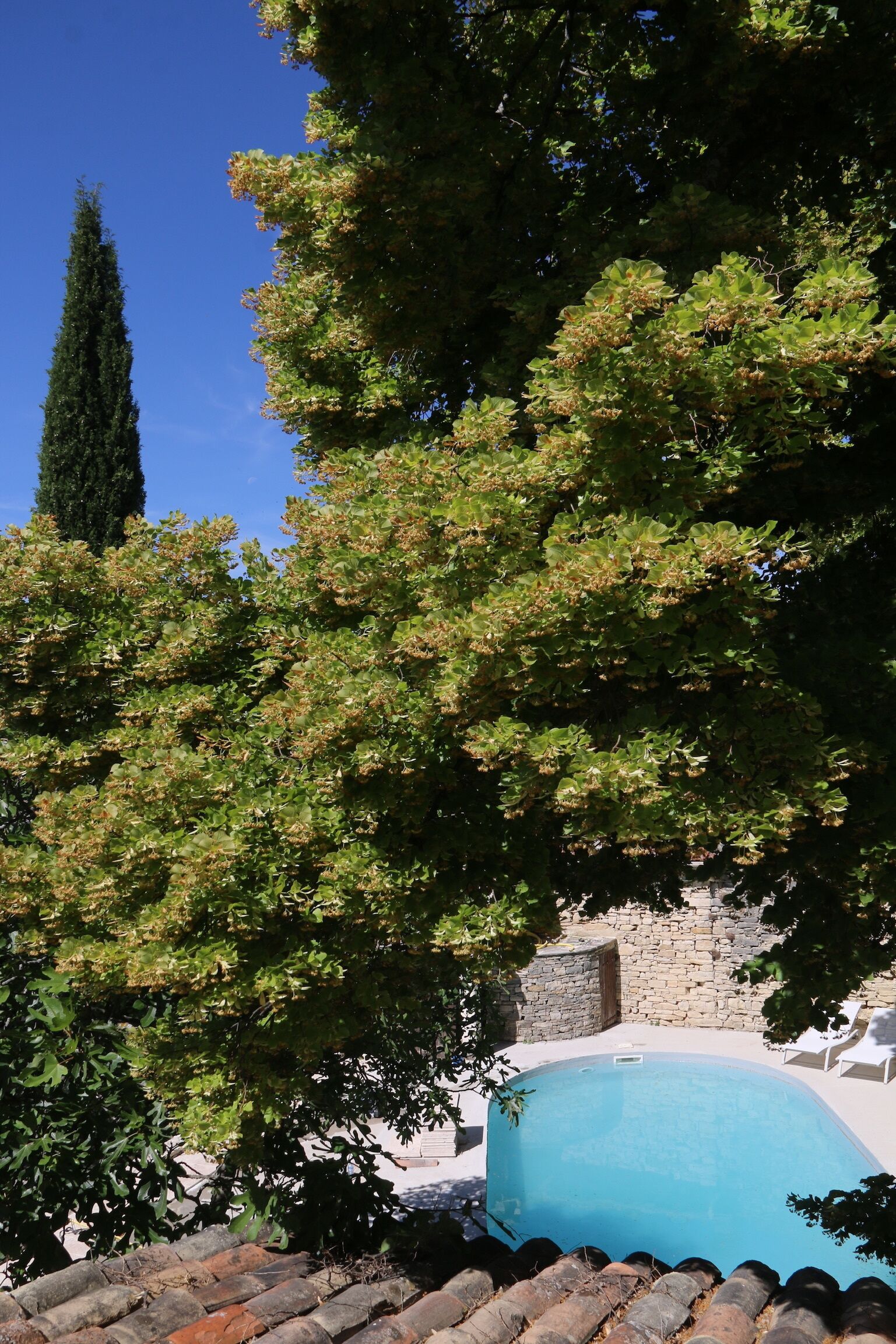 Piscina all'aperto