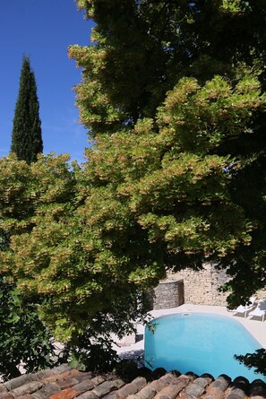 A swimming pool surrounded by trees and stone walls.