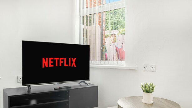 Een moderne woonkamer met een flatscreen-tv waarop 'NETFLIX' staat, een zwarte entertainmentkast, een klein rond tafeltje met een plant in pot, en een raam met uitzicht op een bakstenen muur en groen.