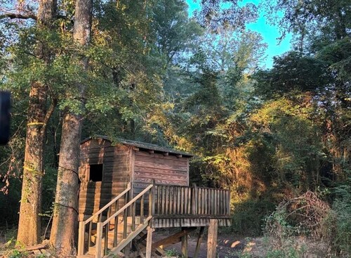 Cozy private 1-bedroom cabin in peaceful Northport with AC