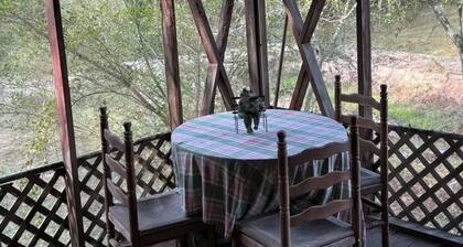 Cozy private 1-bedroom cabin in peaceful Northport with AC