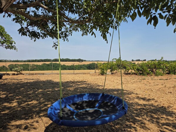 Un trampoline bleu se trouve dans un champ aride et dégagé, avec des arbres et une clôture en arrière-plan.