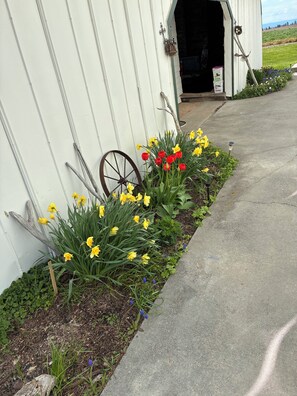 A building with a white exterior, a wheel, and a flower bed with daffodils and tulips. - Awesome 4-bedroom bed & breakfast in charming Troy, Id. A 360• view, hot tub. (Troy)