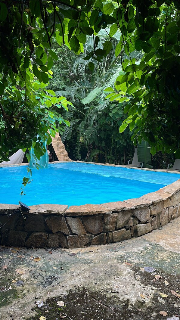 Une piscine bordée de pierres, entourée d’une végétation luxuriante et d’arbres.