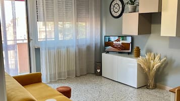 TV