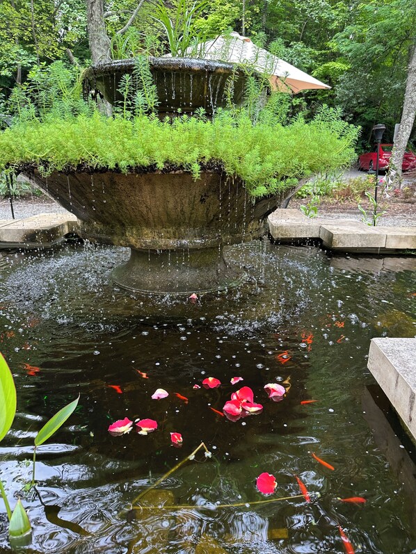 A pond with water lilies and koi fish, surrounded by greenery.