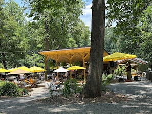 An outdoor seating area with tables and yellow umbrellas, surrounded by trees.