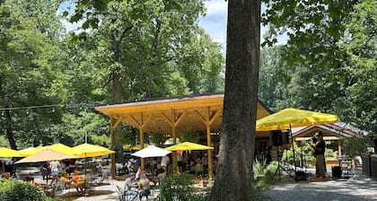 Ladybug Suite at Grey Hawk Bar & Gardens • Kitchen • Pets Welcome!