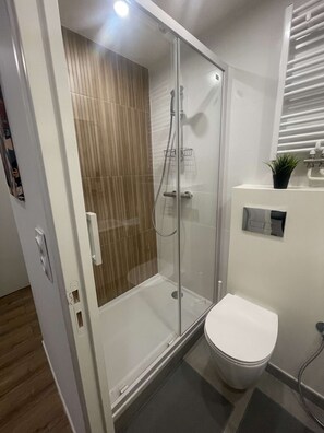 Moderni kylpyhuone, jossa on lasiseinällä varustettu suihku, wc ja pieni ruukkukasvi tasolla.