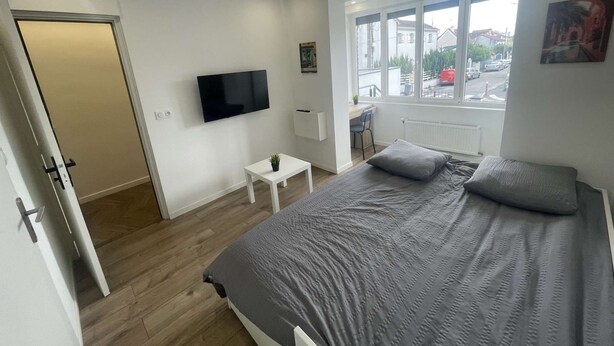 Et soveværelse med seng, fjernsyn, et lille bord med en plante, et vindue med udsigt til gaden og en radiator.