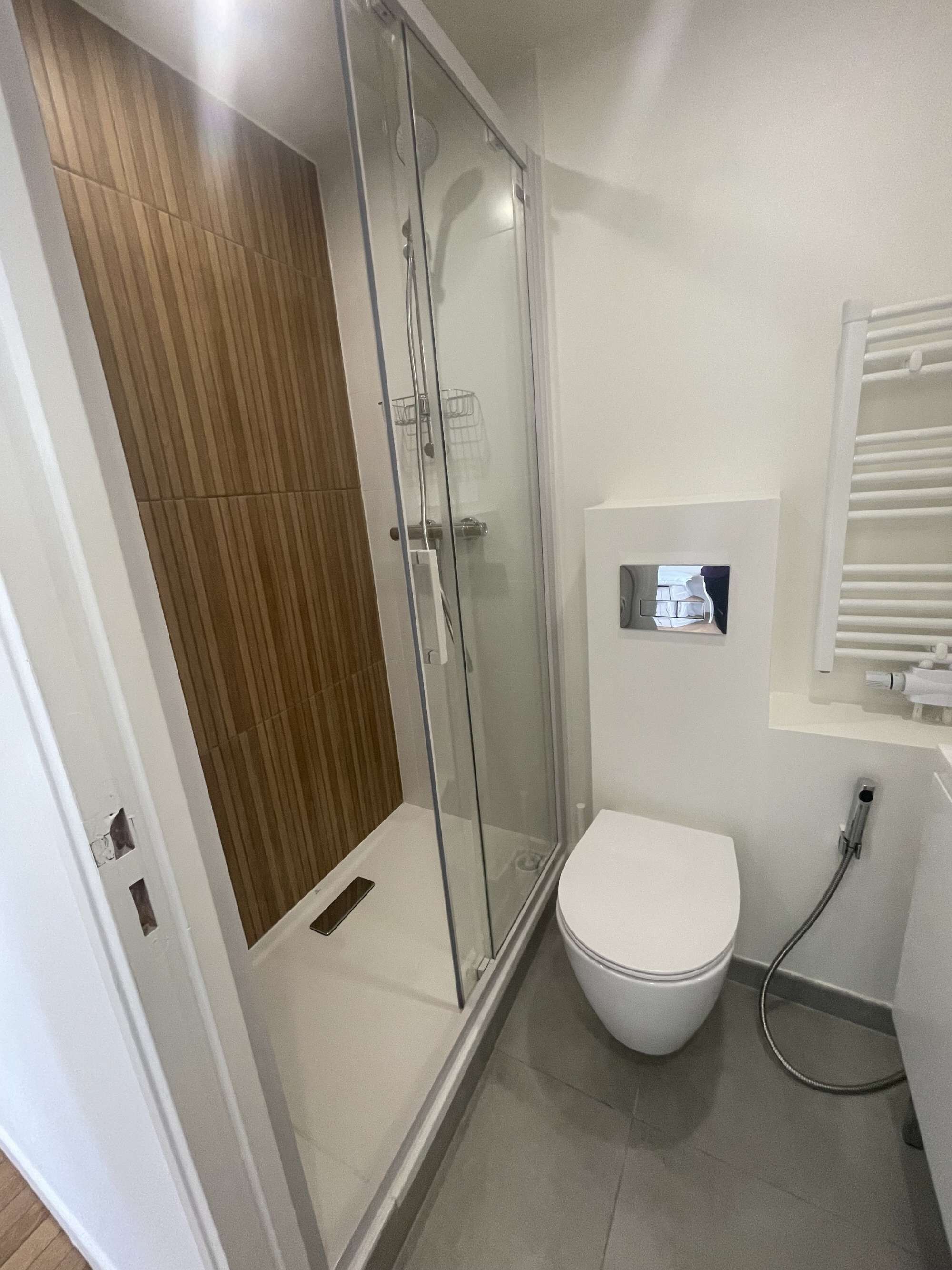 Shower, hair dryer, bidet, towels