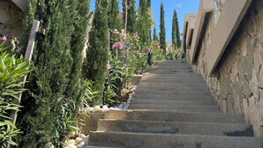 A staircase leading up to a building with a stone wall on one side and a row of tall evergreen trees on the other. - Cosy apartment in Green Coast Albania-blue flag beach (Palasë)