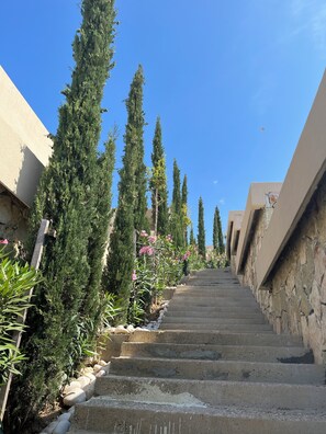 Una escalera conduce a un edificio, con un muro de piedra a un lado y una fila de altos árboles perennes al otro.