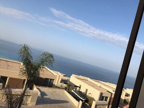 Blick aufs Meer vom Balkon, strahlend blauer Himmel, eine Palme und ein Strand im Hintergrund.