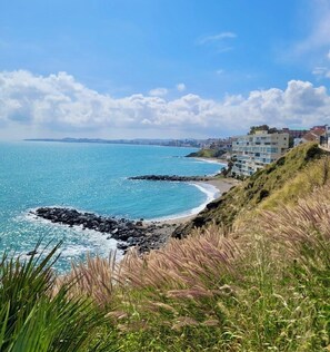 A coastal view with a rocky shoreline, grassy areas, and a building complex with multiple floors.