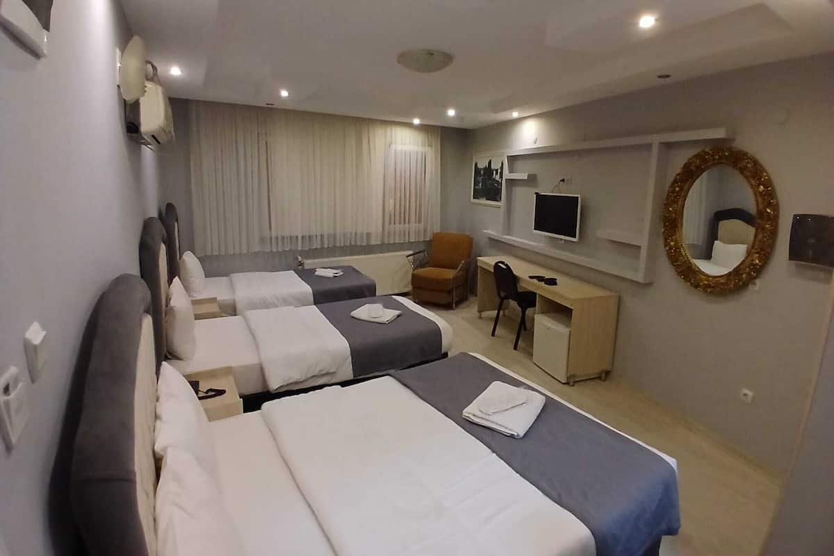 Habitación de hotel con dos camas, un escritorio, una silla, un televisor, un espejo y una ventana con cortinas.