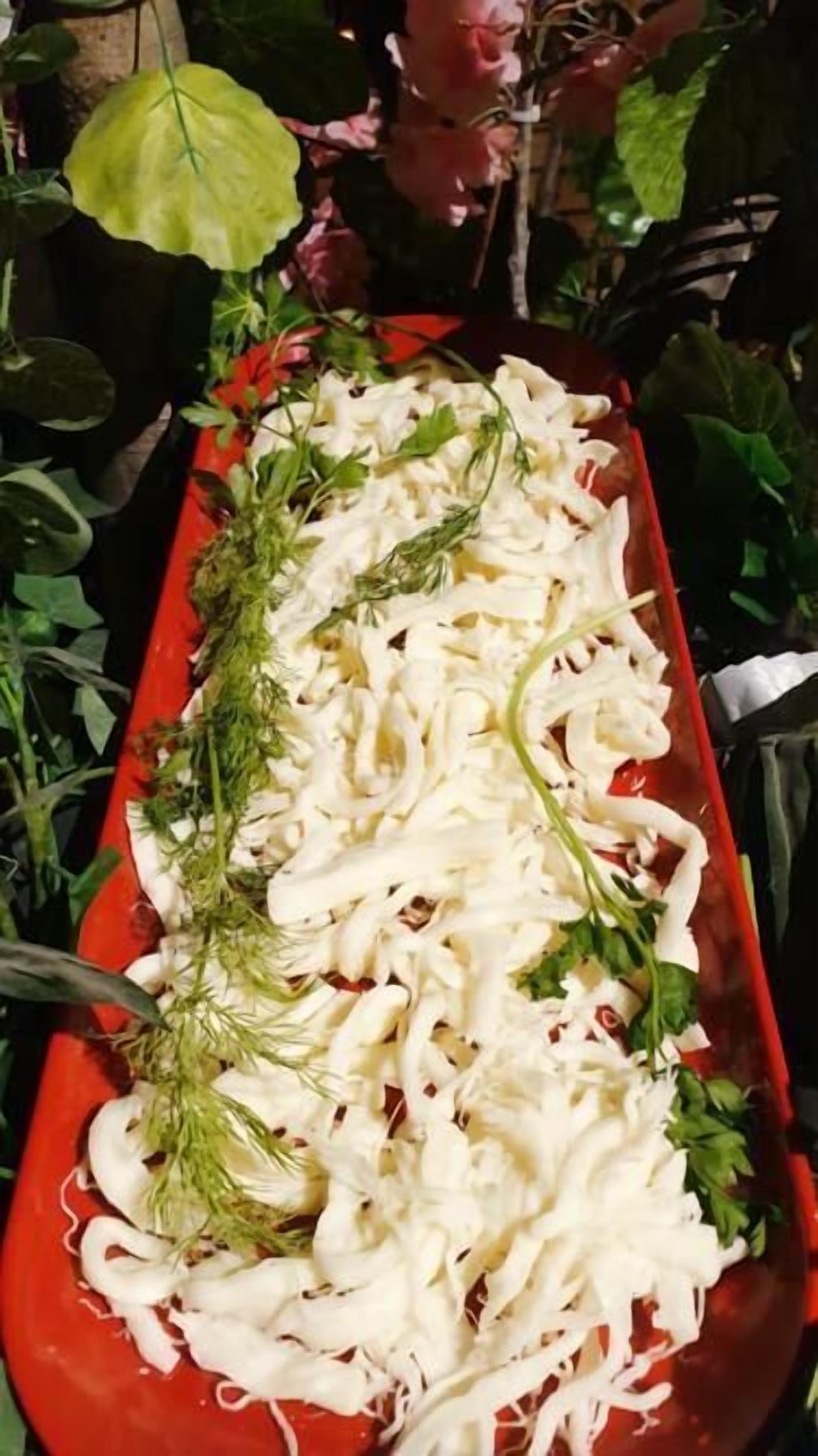 A rectangular tray with shredded white material, possibly cheese, garnished with green herbs, placed on a red surface.