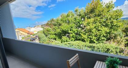Spacious 3-bedroom apartment with AC in welcoming Sao Miguel