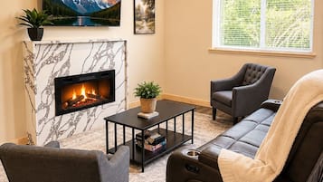 Smart TV, fireplace, books