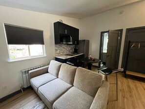 TV - Spruce Tranquility Studio  (Anchorage)
