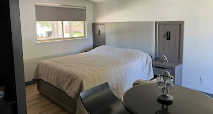 Spruce Tranquility Studio