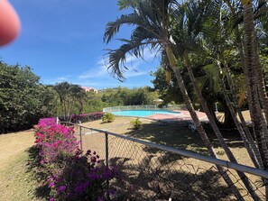 A swimming pool surrounded by palm trees and pink flowers. - R&R - modern 2 bed 2 bath condo with pool near beaches, grocery and restaurants (Gros Islet)