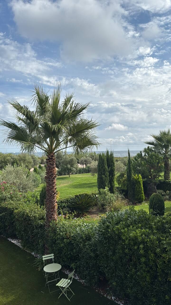 Ein Garten mit einer Palme, grünen Hecken und einem Rasen.