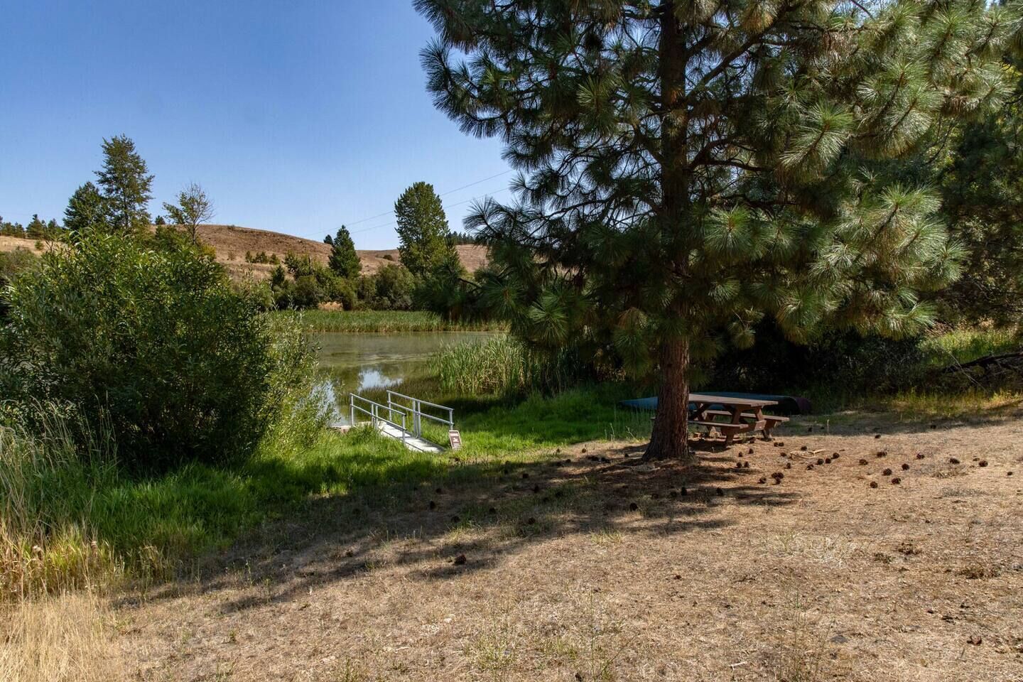 A picnic area with a bench, a small bridge over a pond, and a tree.