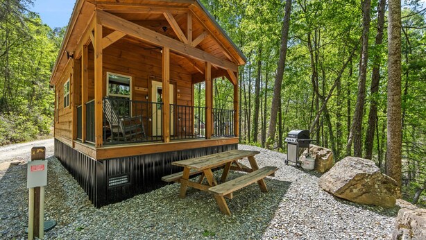 A wooden cabin with a porch, picnic table, and grill area, surrounded by trees.