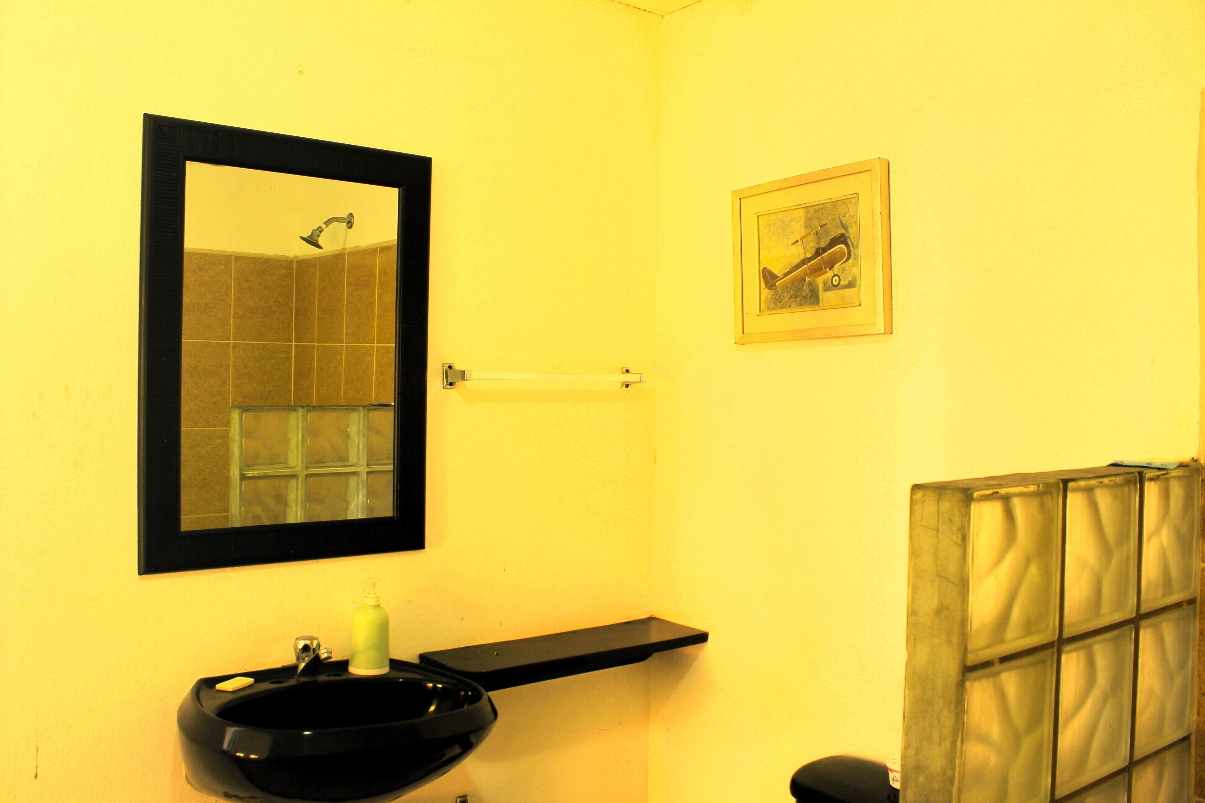 A bathroom with a black sink, a mirror, a towel rack, and a framed picture on the wall.